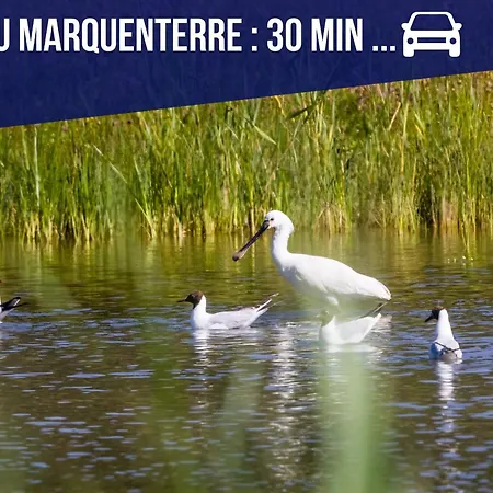 Retraite Cosy Aux Portes De La Baie De Somme בית נופש *